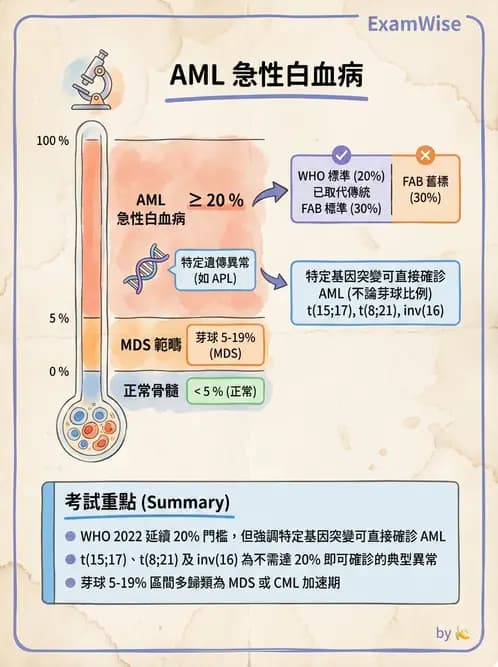 醫檢師 - 急性白血病 - AI 圖文解析預覽