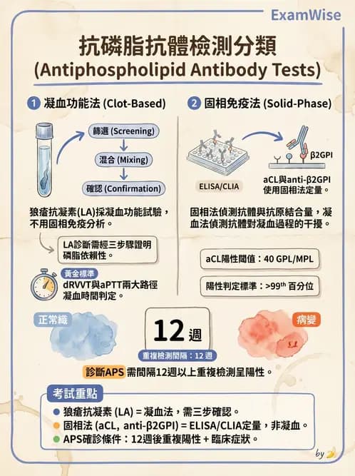 醫檢師 - 血栓性疾病與抗凝治療監測 - AI 圖文解析預覽