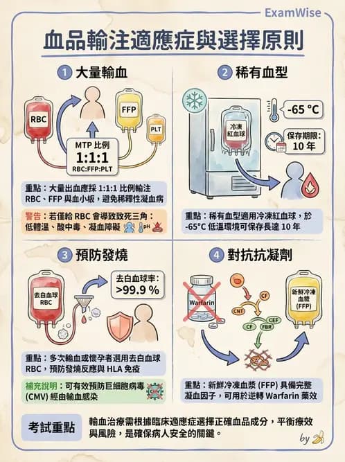 醫檢師 - 血液成分製備與輸血檢查 - AI 圖文解析預覽
