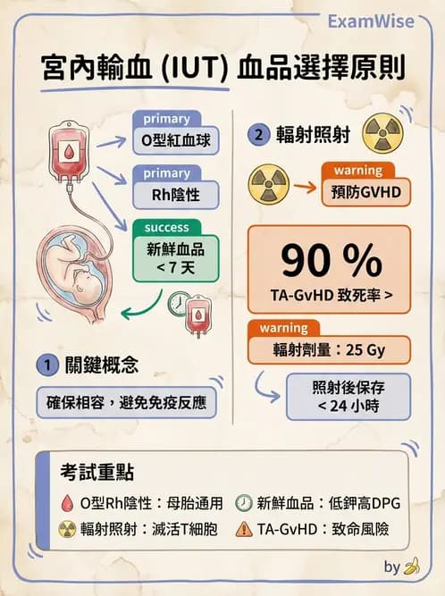 醫檢師 - 血液成分製備與輸血檢查 - AI 圖文解析預覽