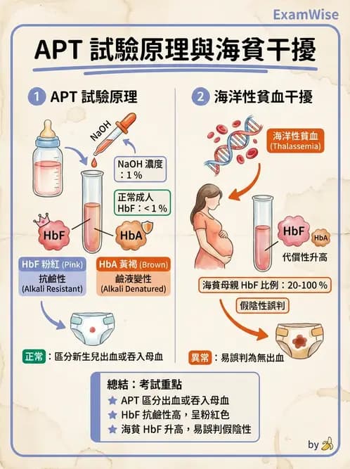 醫檢師 - 糞便常規檢查 - AI 圖文解析預覽