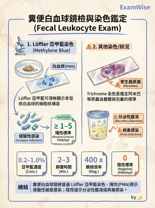 醫檢師 - 糞便常規檢查 - AI 圖文解析預覽