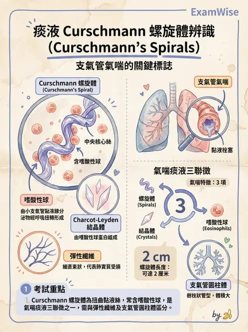 醫檢師 - 痰液一般鏡檢 - AI 圖文解析預覽