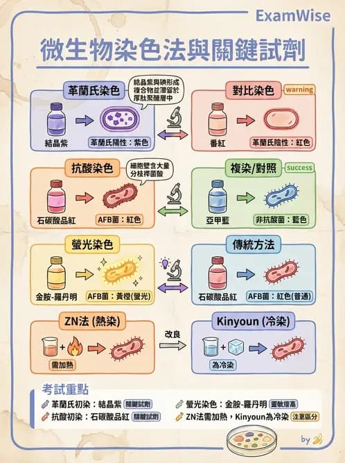 醫檢師 - 痰液一般鏡檢 - AI 圖文解析預覽