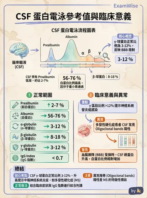 醫檢師 - 腦脊髓液檢查 - AI 圖文解析預覽