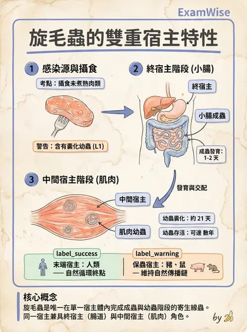 醫檢師 - 寄生蟲檢查-蠕蟲類 - AI 圖文解析預覽