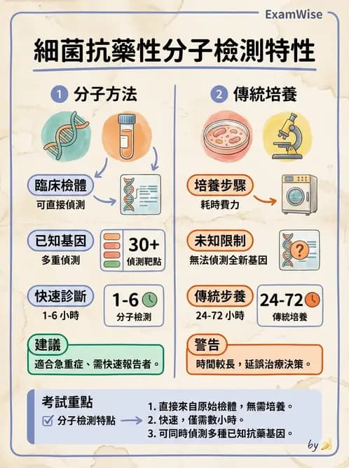 醫檢師 - 感染症分子檢驗 - AI 圖文解析預覽