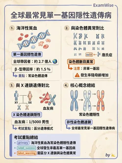 醫檢師 - 遺傳疾病基因檢測 - AI 圖文解析預覽