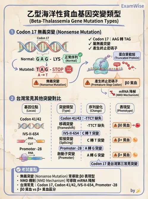 醫檢師 - 遺傳疾病基因檢測 - AI 圖文解析預覽