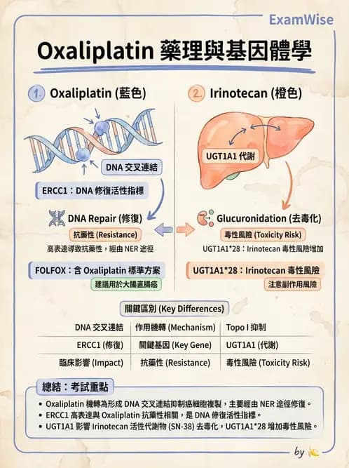 醫檢師 - 藥物相關基因檢測 - AI 圖文解析預覽