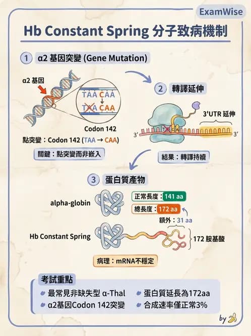 醫檢師 - 遺傳疾病基因檢測 - AI 圖文解析預覽