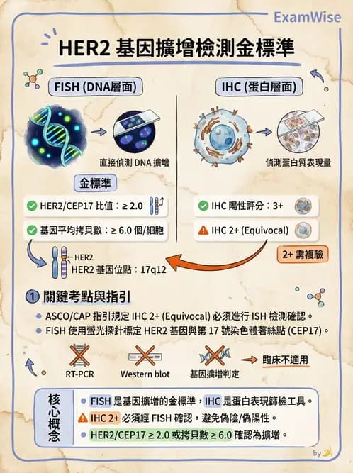醫檢師 - 腫瘤疾病基因檢測 - AI 圖文解析預覽