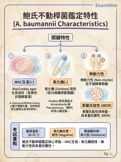 醫檢師 - 非發酵菌 - AI 圖文解析預覽