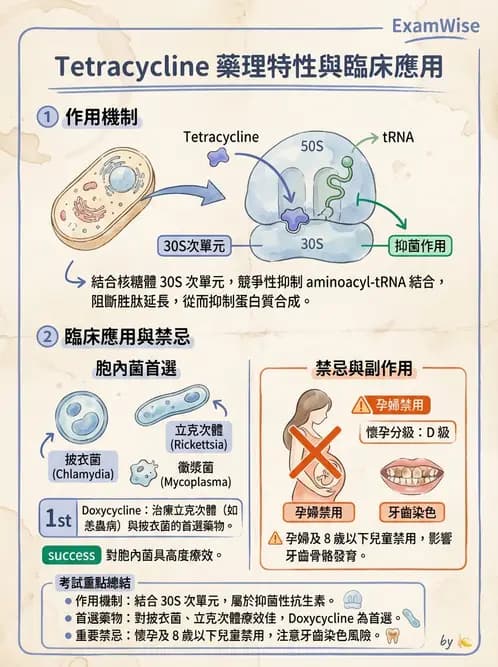 醫檢師 - 抗微生物製劑 - AI 圖文解析預覽