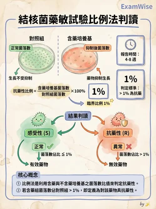 醫檢師 - 分枝桿菌 - AI 圖文解析預覽