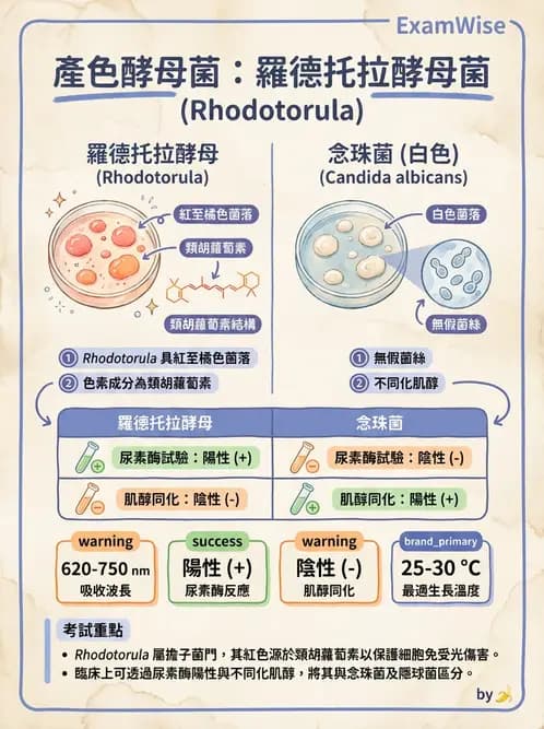 醫檢師 - 系統性與機會性真菌感染 - AI 圖文解析預覽
