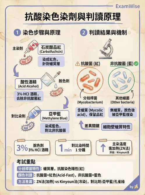 醫檢師 - 檢驗基礎技術 - AI 圖文解析預覽