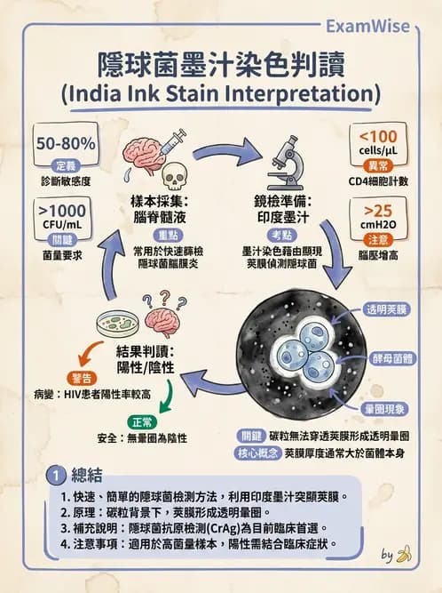醫檢師 - 系統性與機會性真菌感染 - AI 圖文解析預覽