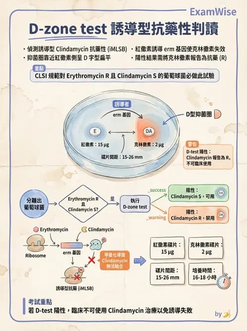 醫檢師 - 藥敏試驗方法 - AI 圖文解析預覽