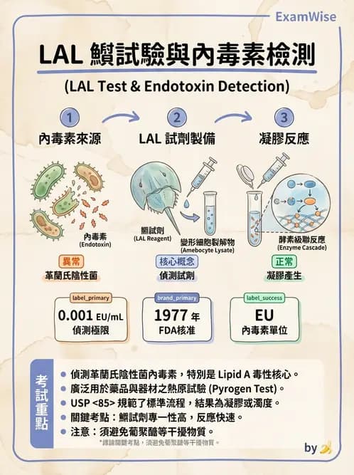 醫檢師 - 檢驗基礎技術 - AI 圖文解析預覽
