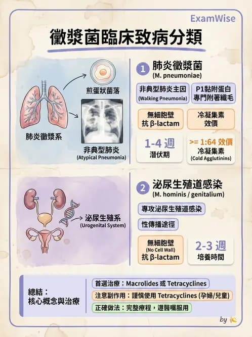 醫檢師 - 特殊病原體 - AI 圖文解析預覽