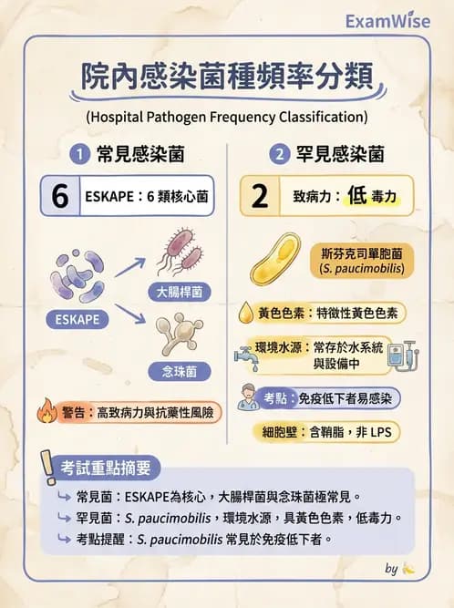 醫檢師 - 感染症與院內感染 - AI 圖文解析預覽