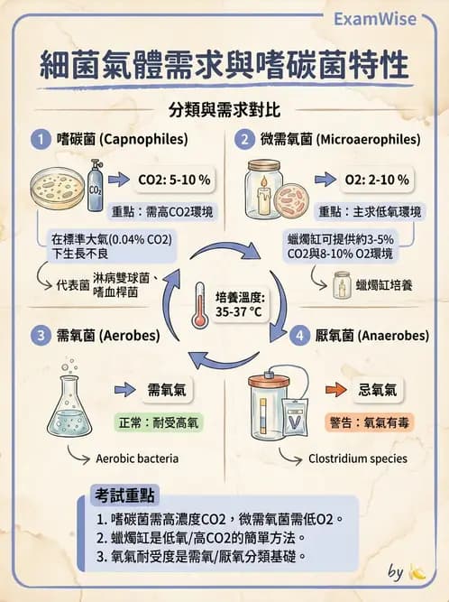 醫檢師 - 實驗室安全與微生物特性 - AI 圖文解析預覽