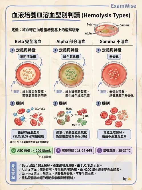醫檢師 - 檢驗基礎技術 - AI 圖文解析預覽