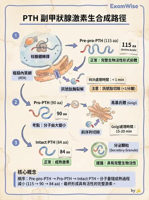 醫檢師 - 電解質與微量元素 - AI 圖文解析預覽