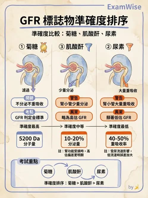 醫檢師 - 腎臟機能與代謝評估 - AI 圖文解析預覽