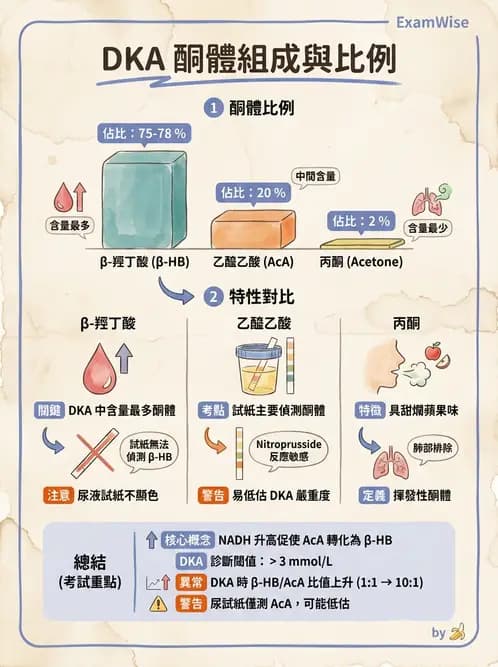 醫檢師 - 脂質代謝與酮體 - AI 圖文解析預覽