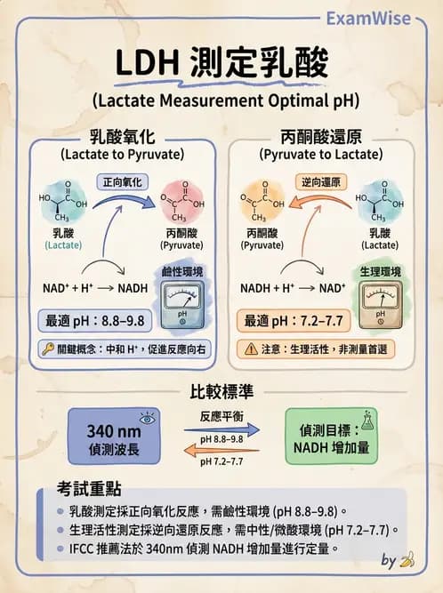 醫檢師 - 臨床酵素學基礎 - AI 圖文解析預覽
