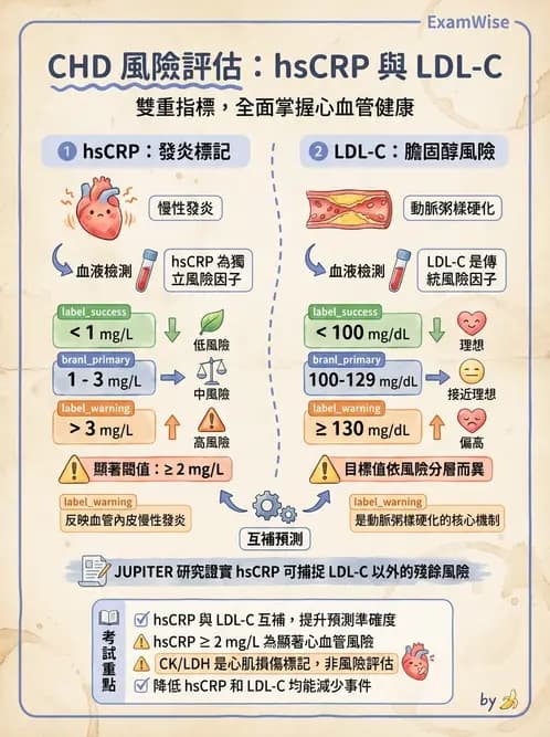 醫檢師 - 脂蛋白分類與臨床應用 - AI 圖文解析預覽