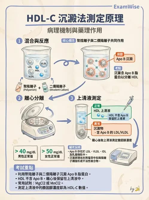 醫檢師 - 脂蛋白分類與臨床應用 - AI 圖文解析預覽