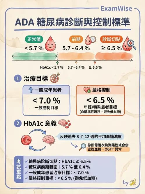 醫檢師 - 醣類代謝與糖尿病 - AI 圖文解析預覽