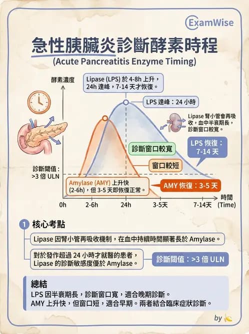 醫檢師 - 肝臟機能與胰臟酵素 - AI 圖文解析預覽