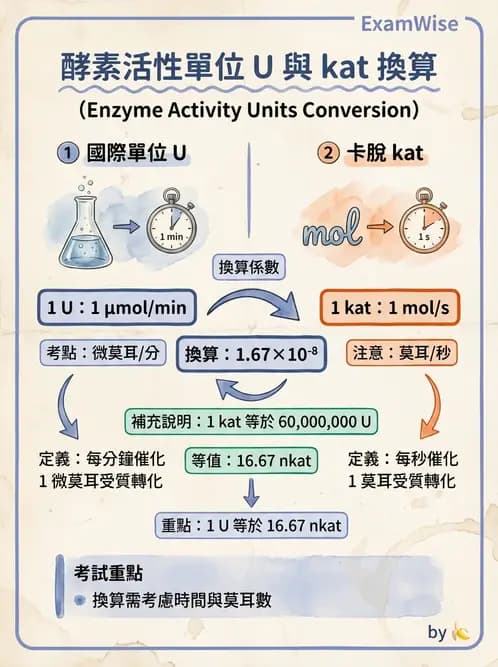 醫檢師 - 臨床酵素學基礎 - AI 圖文解析預覽