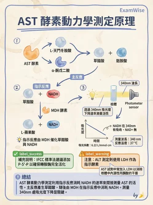 醫檢師 - 肝臟機能與胰臟酵素 - AI 圖文解析預覽