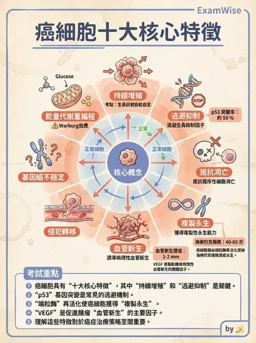 醫檢師 - 腫瘤標誌 - AI 圖文解析預覽