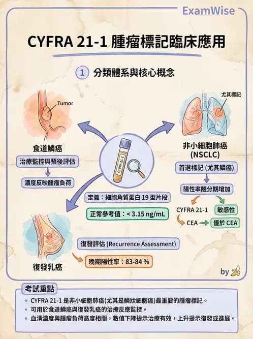 醫檢師 - 腫瘤標誌 - AI 圖文解析預覽