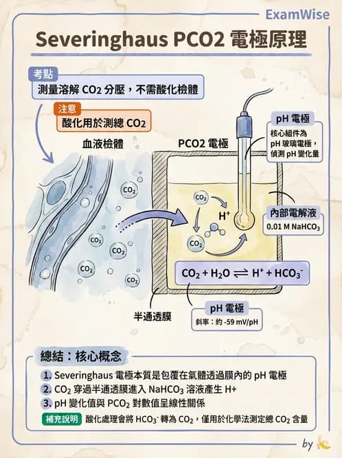 醫檢師 - 血液氣體分析及酸鹼平衡 - AI 圖文解析預覽