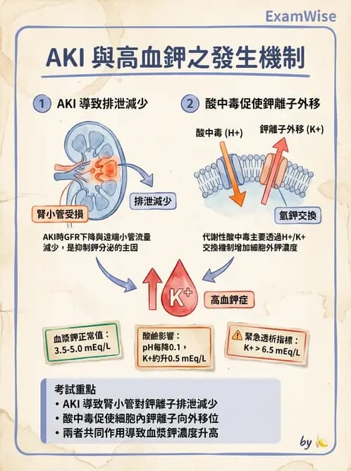 醫檢師 - 電解質與微量元素 - AI 圖文解析預覽