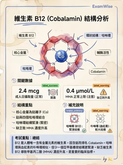醫檢師 - 維生素 - AI 圖文解析預覽