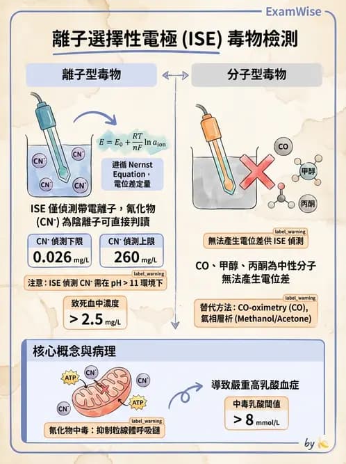 醫檢師 - 治療藥物監測與毒物學 - AI 圖文解析預覽