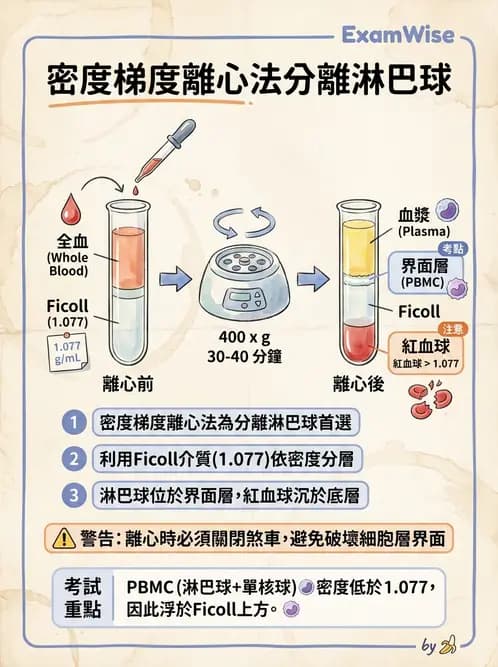 醫檢師 - 實驗室測試免疫法 - AI 圖文解析預覽