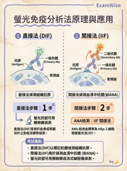 醫檢師 - 實驗室測試免疫法 - AI 圖文解析預覽