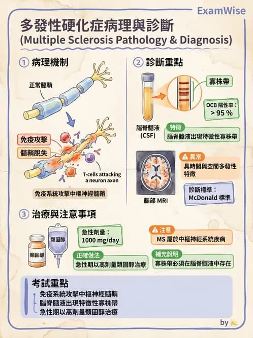醫檢師 - 其他自體免疫疾病與自體抗體檢驗 - AI 圖文解析預覽
