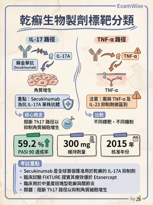 醫檢師 - 腫瘤免疫學免疫療法及疫苗 - AI 圖文解析預覽