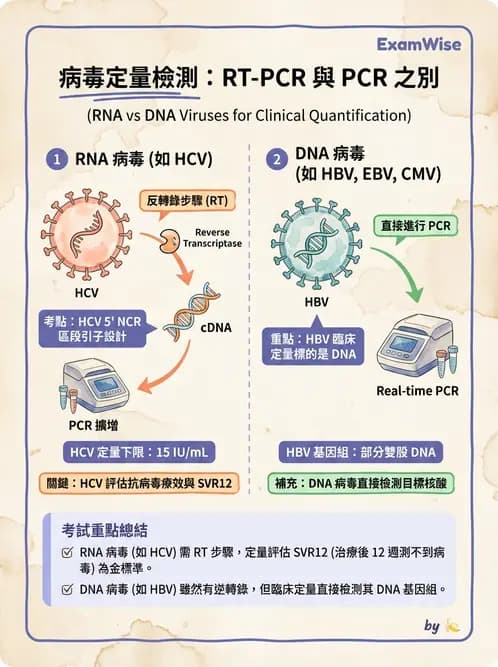 醫檢師 - 病毒檢驗技術 - AI 圖文解析預覽