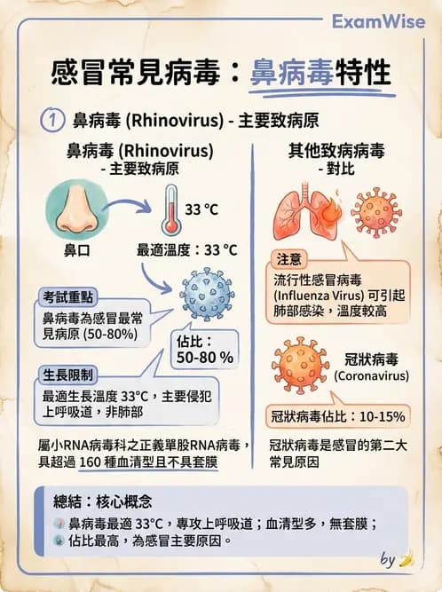 醫檢師 - 小RNA病毒科與腸道病毒 - AI 圖文解析預覽